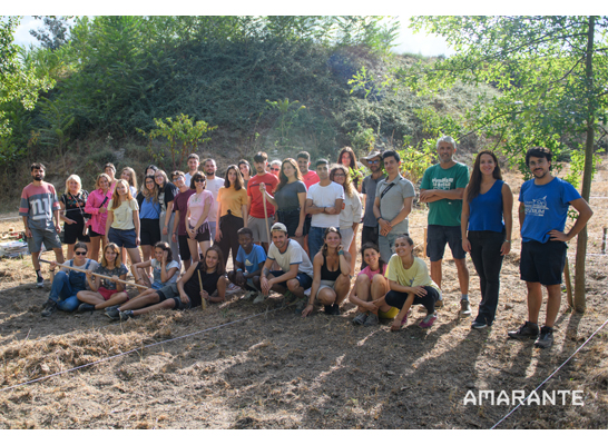 Candidaturas-abertas-para-cultivar-talhoes-na-Horta-Urbana-de-Amarante-