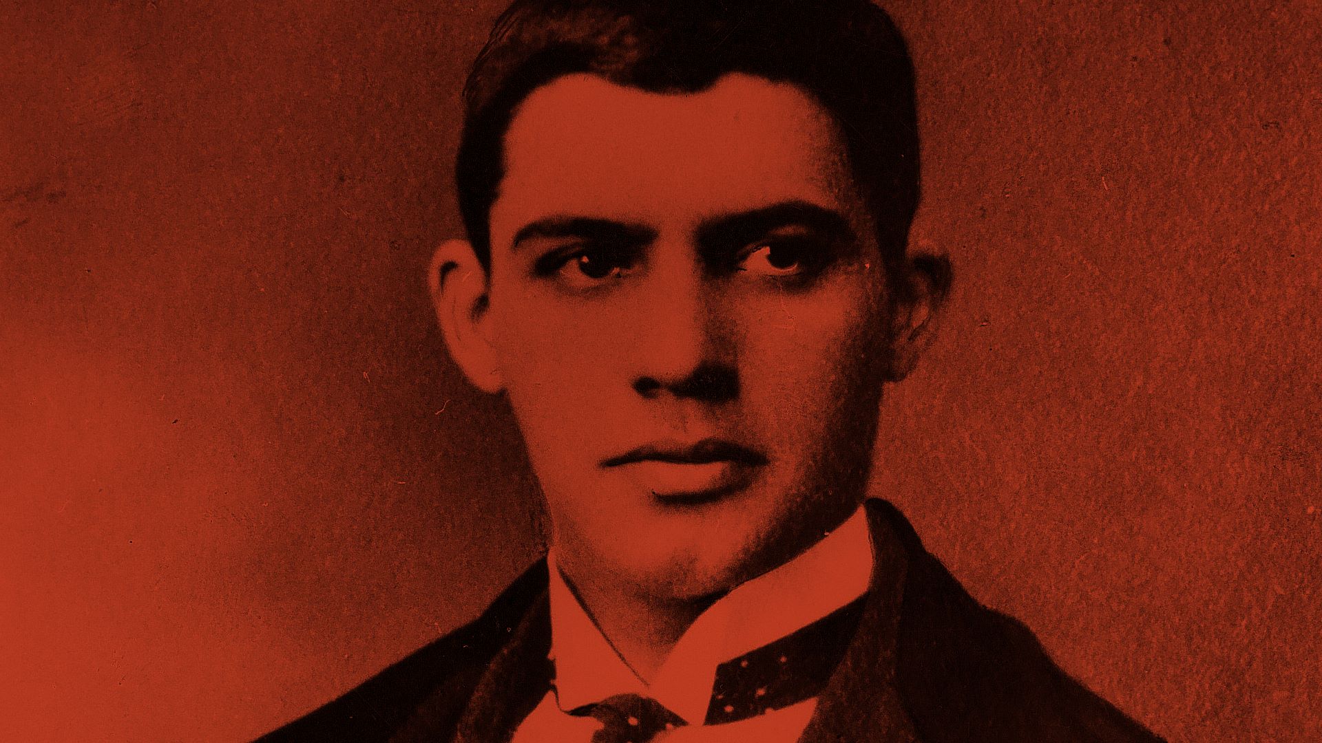 Celebrar a vida de Amadeo – visita noturna