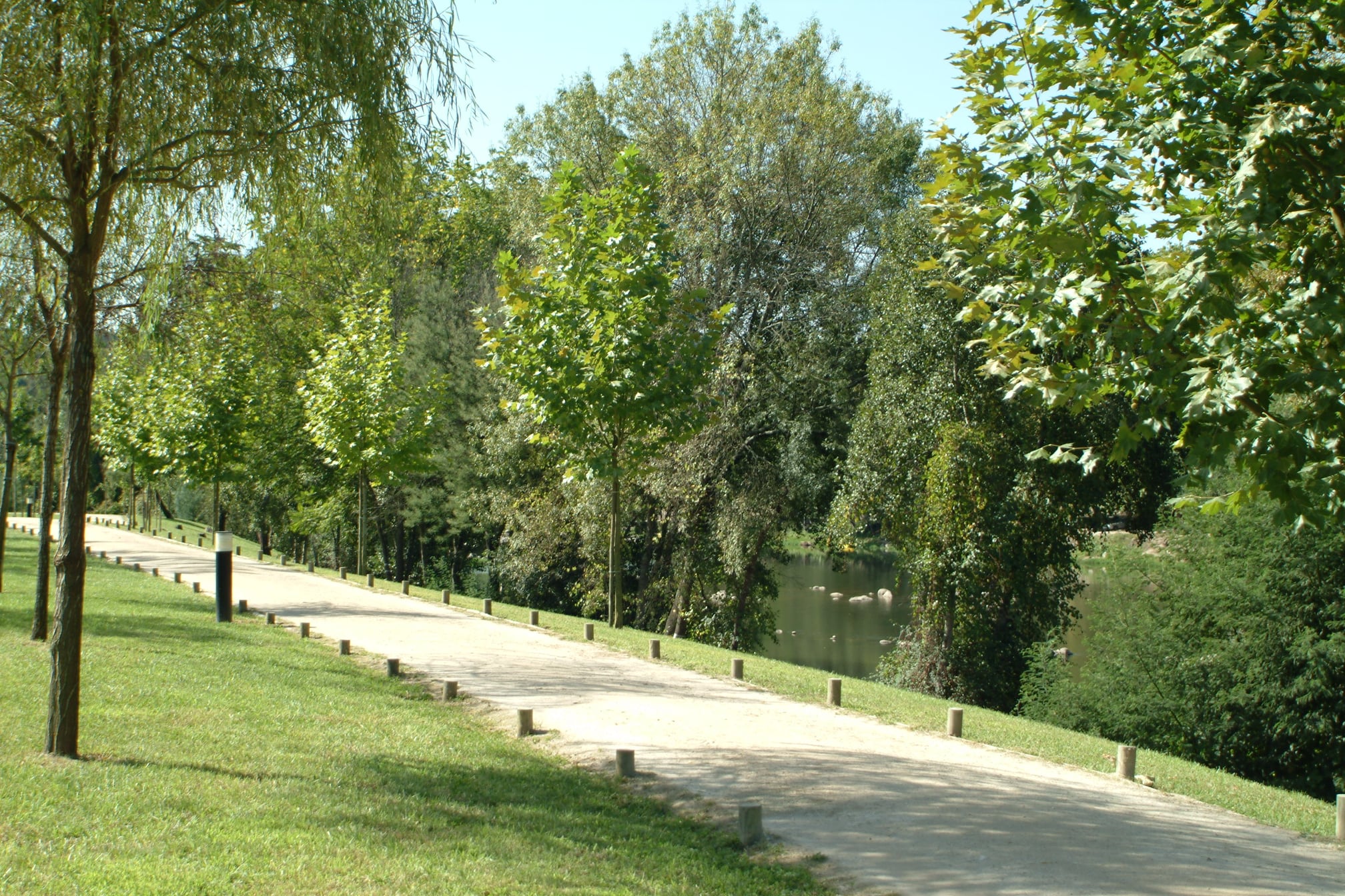 TribolADA