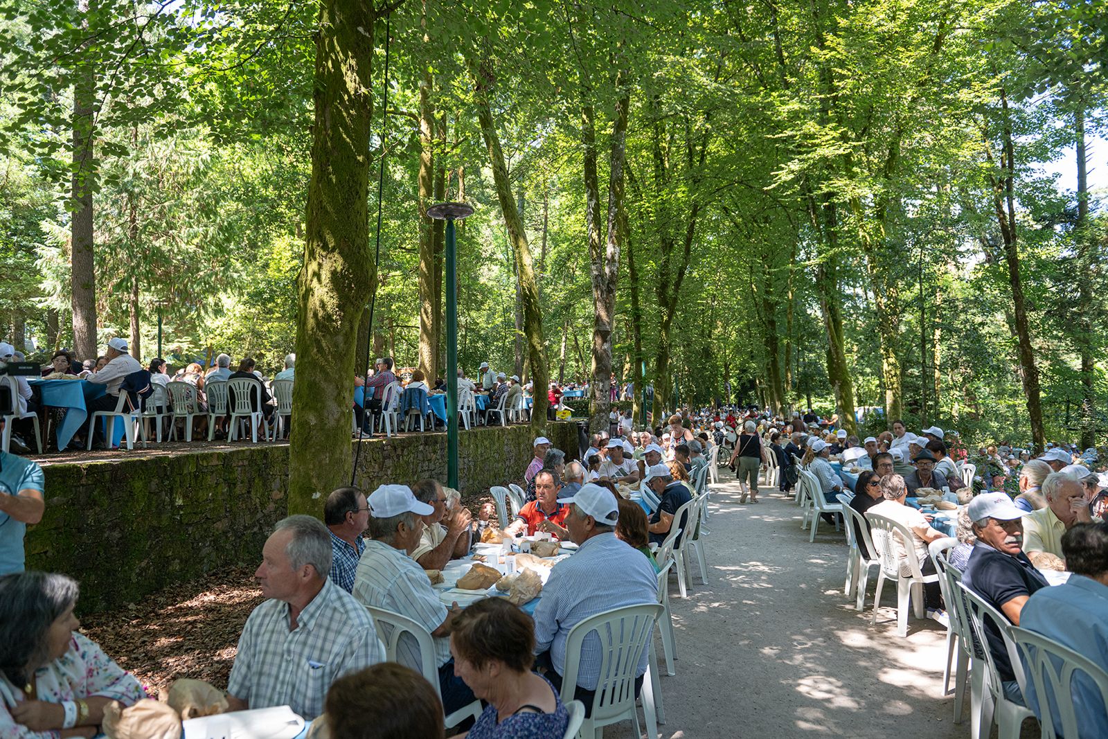 Idade de Ouro promove convívio no Parque Florestal