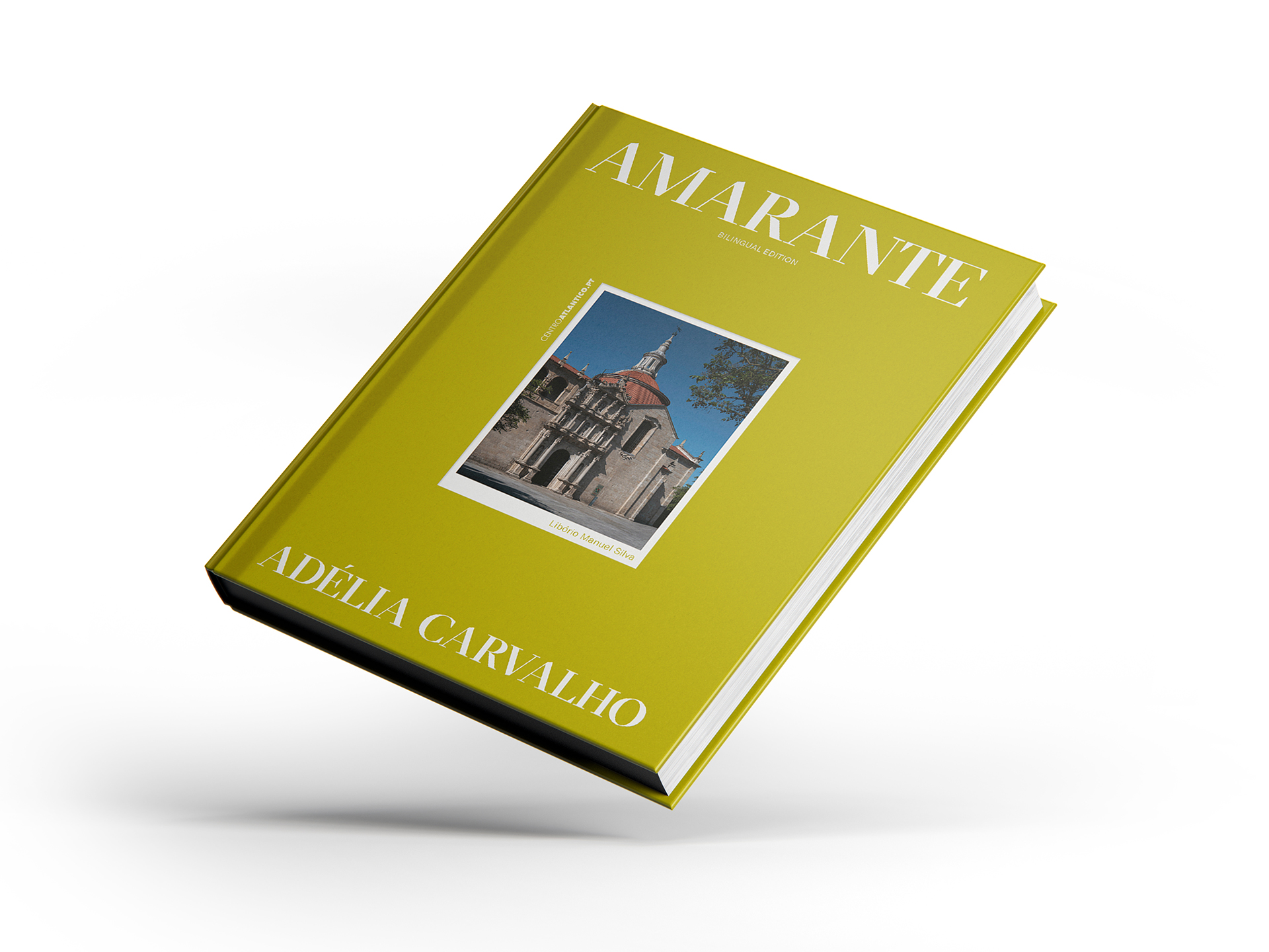 Livro copy