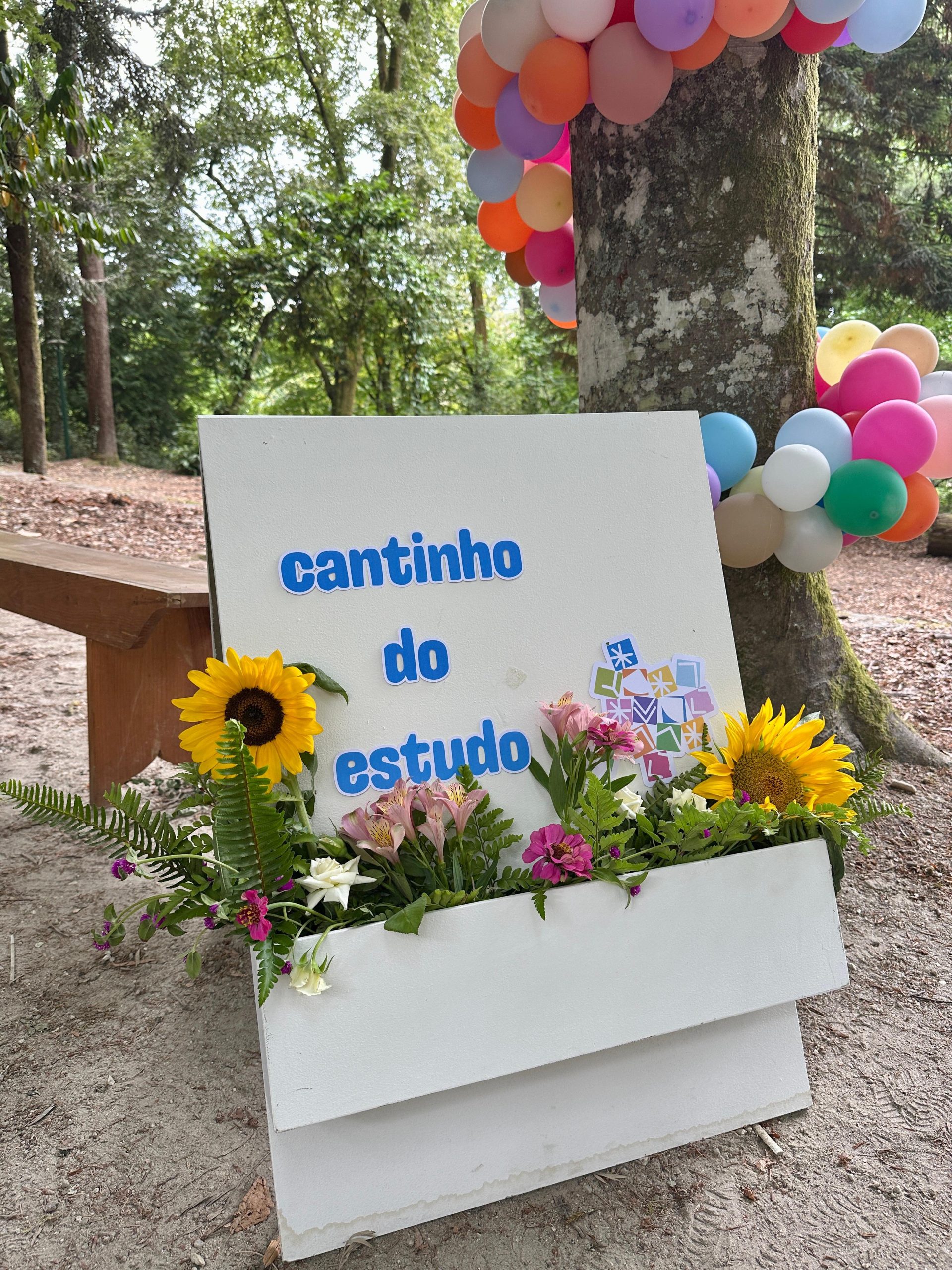 Parque Florestal acolheu sessão de encerramento do “Cantinho do Estudo 2.0”.