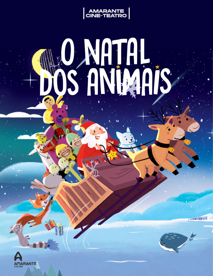 29.11-BOL