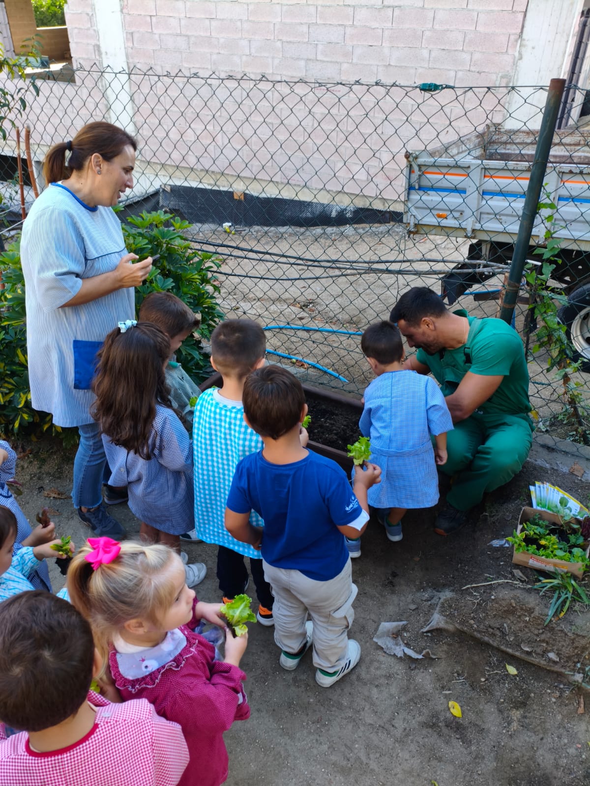 As hortas escolares serão reativadas em todos os jardins de infância, permitindo às crianças aco