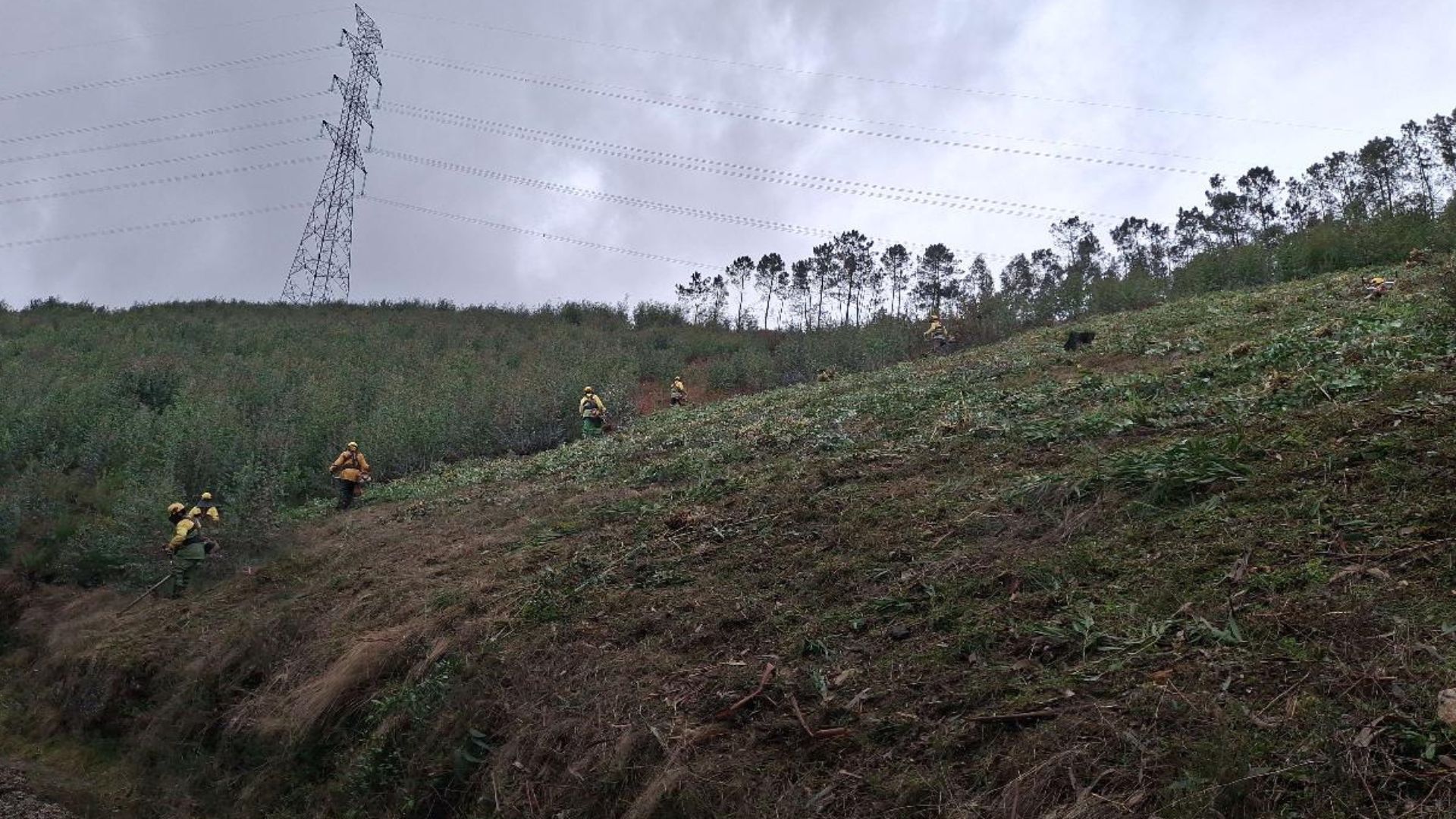Dia do Sapador Florestal - 2026