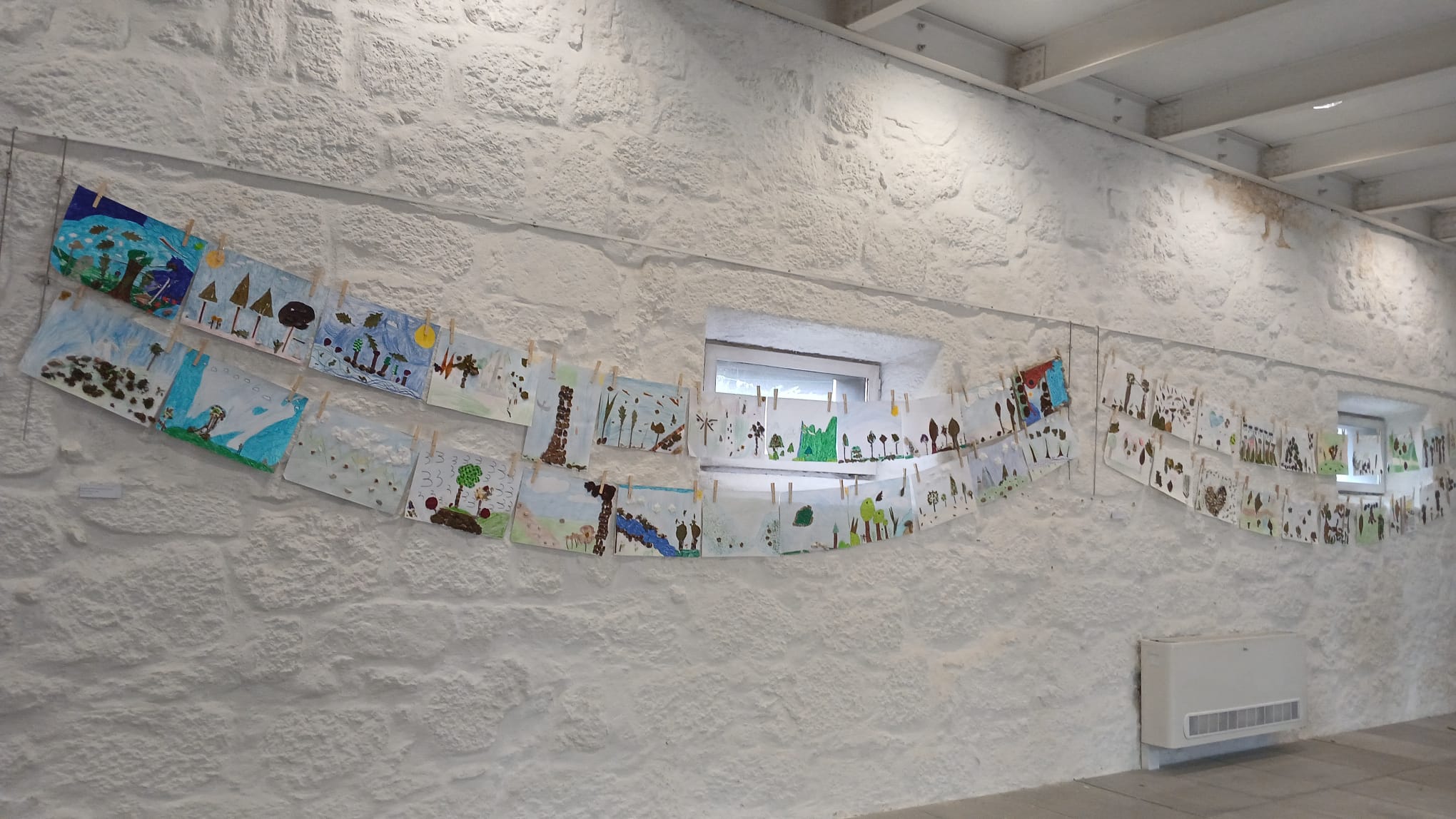 Exposição “A Floresta é a Minha Escola -2026