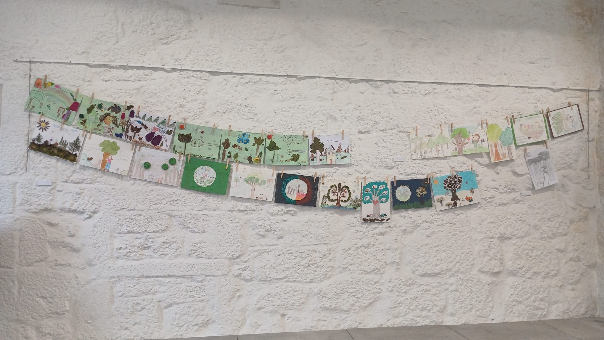 Exposição “A Floresta é a Minha Escola -2026