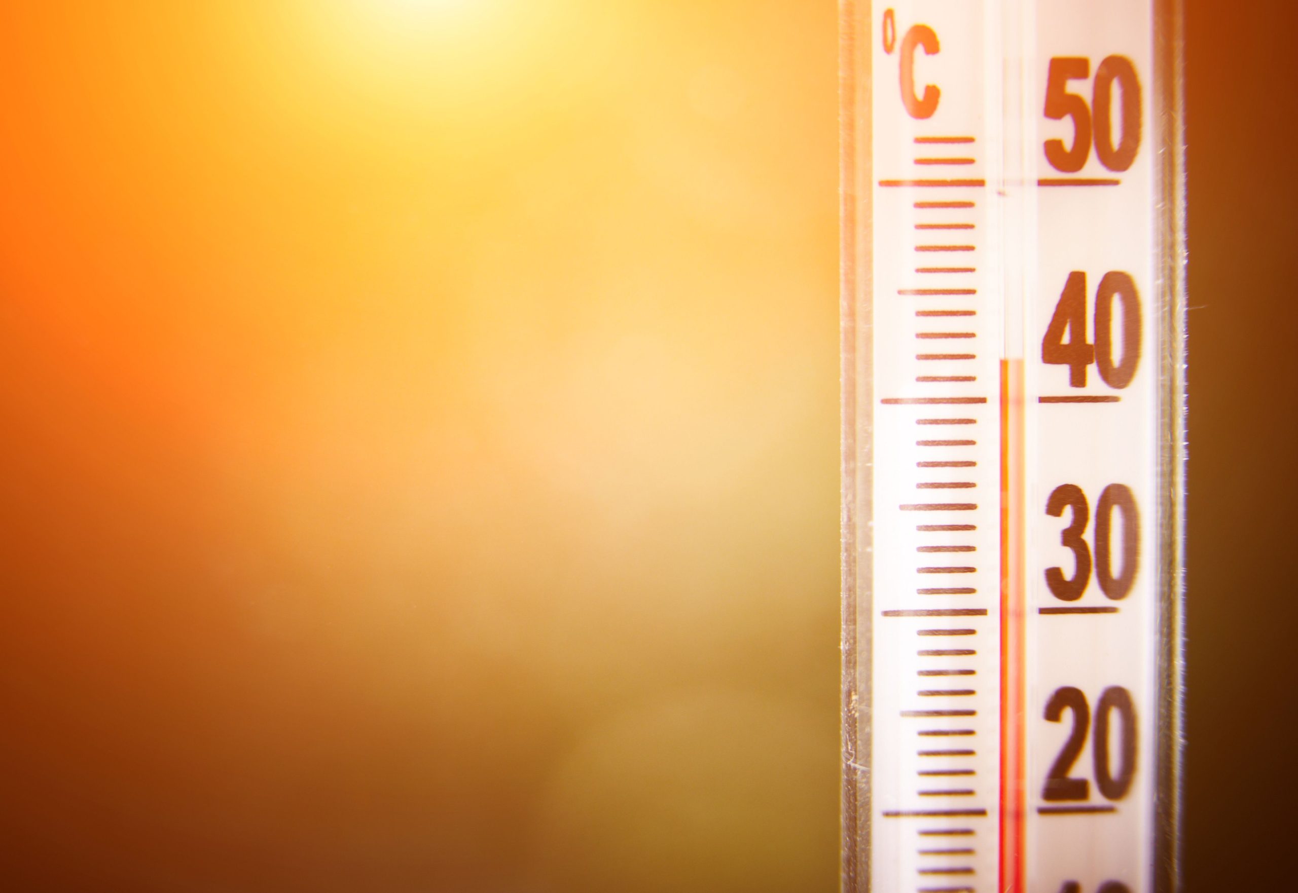 Calor intenso: Município apela à adoção de medidas de proteção
