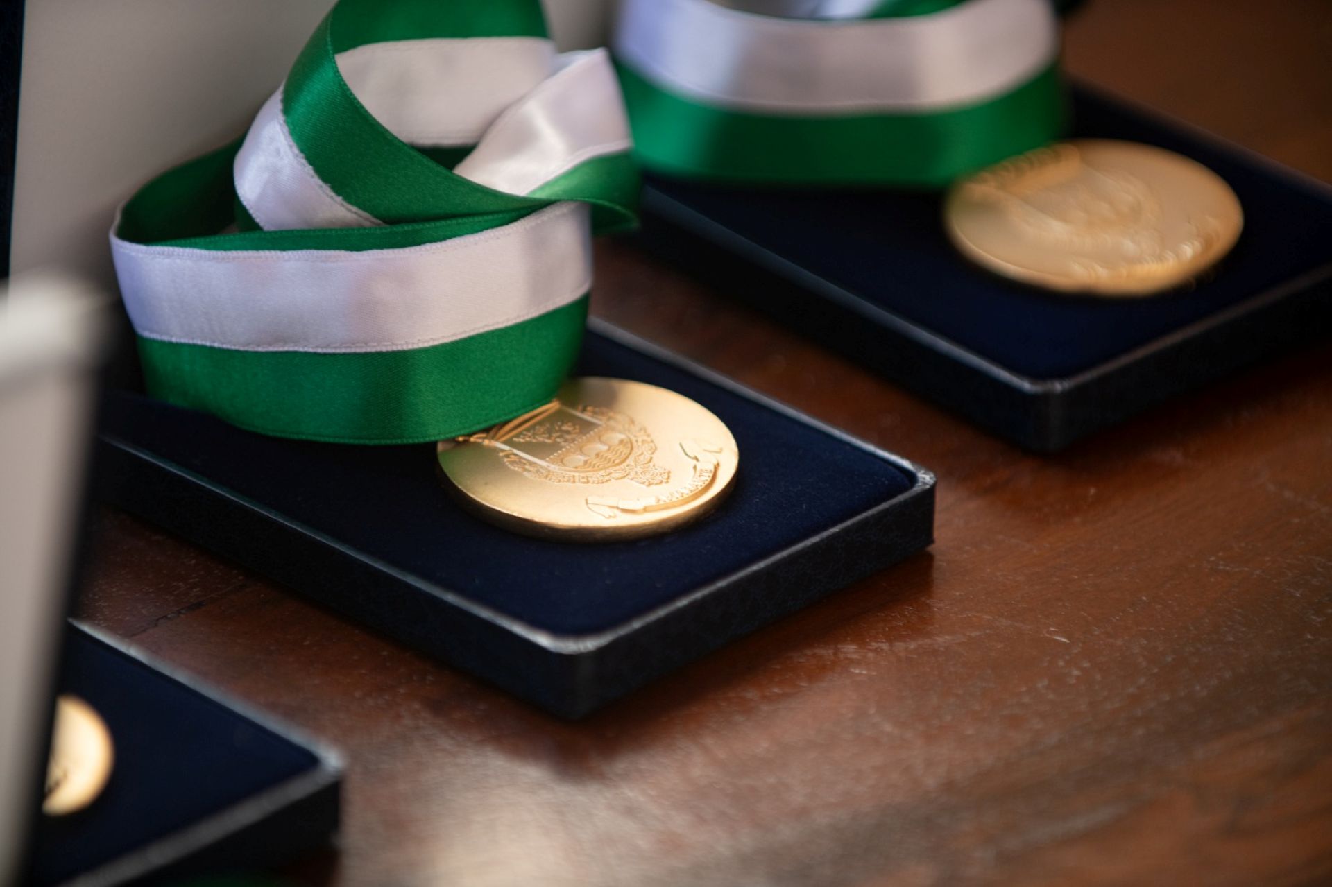 Dia do Município | Amarante distingue personalidades e instituições com Medalhas Municipais