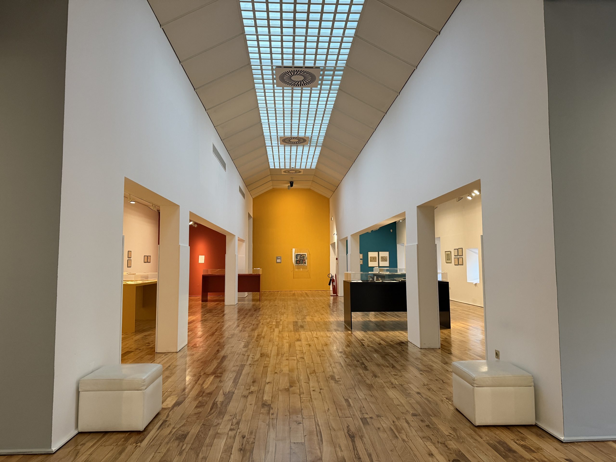 museu arte moderna amadeo