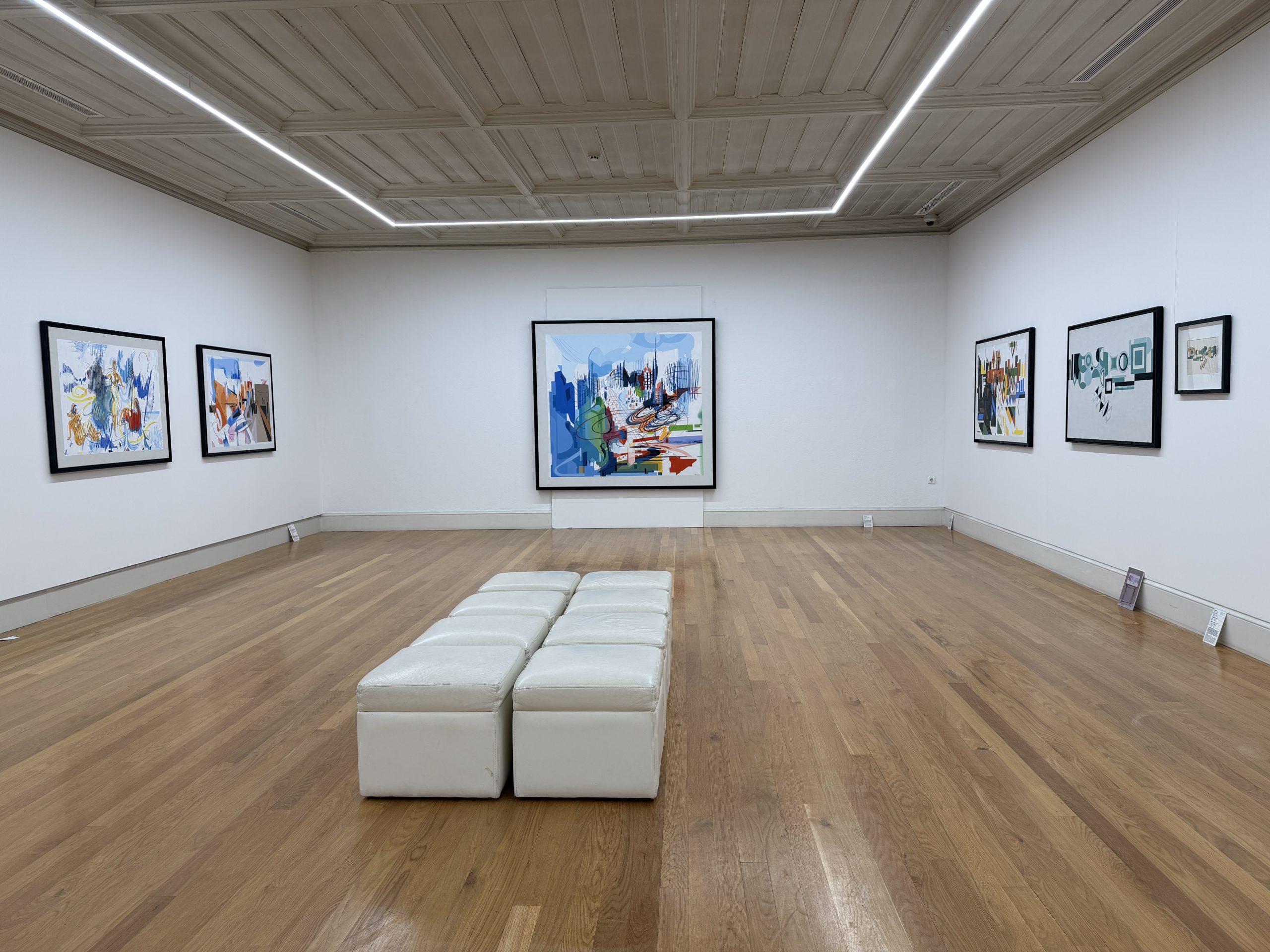 museu arte moderna amadeo souza-cardoso (6)